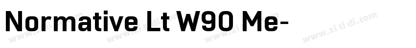 Normative Lt W90 Me字体转换